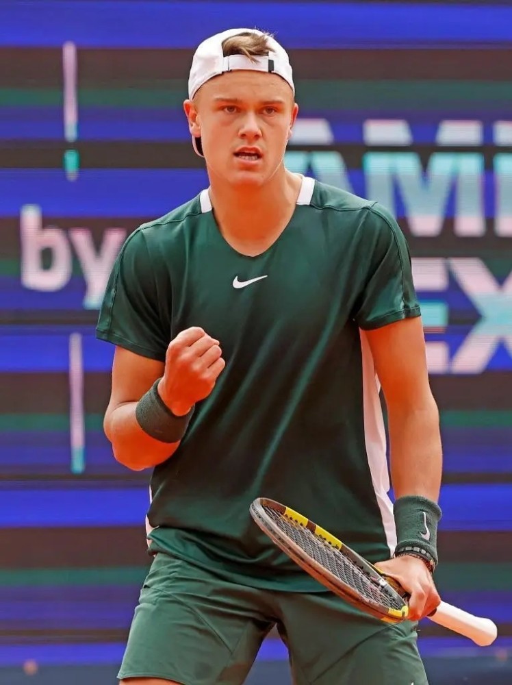 骑士若能限 骑士若能限