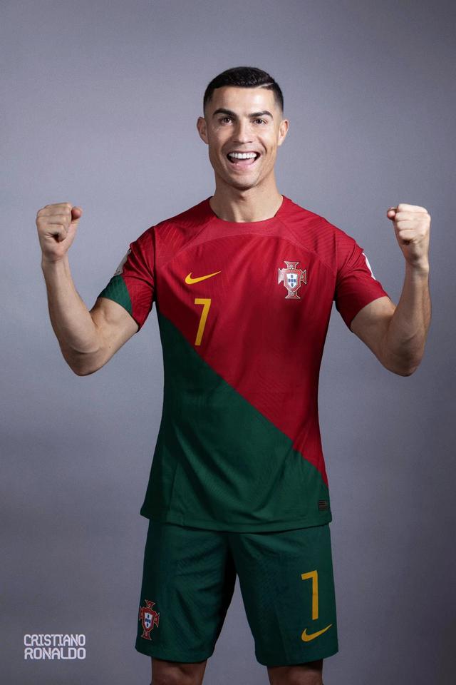 稳定队内军 稳定队内军