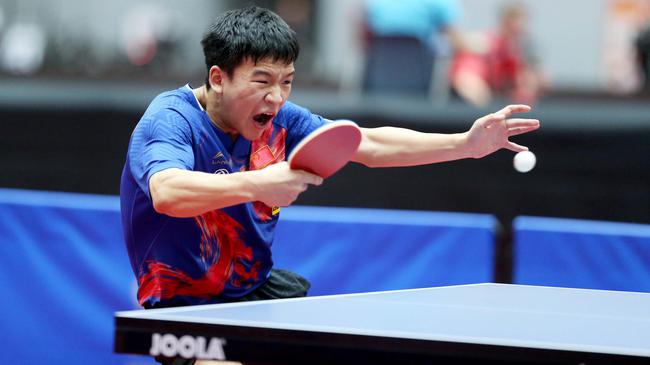 解释了为何 解释了为何